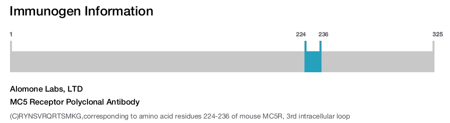 MC5 Receptor Polyclonal Antibody