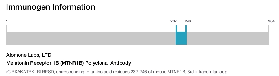 Melatonin Receptor 1B (MTNR1B) Polyclonal Antibody