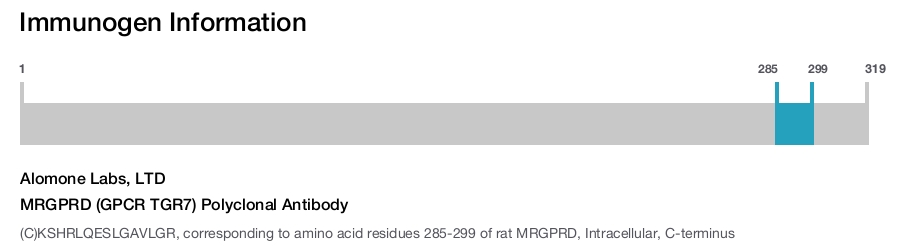 MRGPRD (GPCR TGR7) Polyclonal Antibody