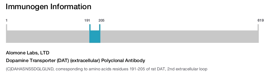 Dopamine Transporter (DAT) (extracellular) Polyclonal Antibody