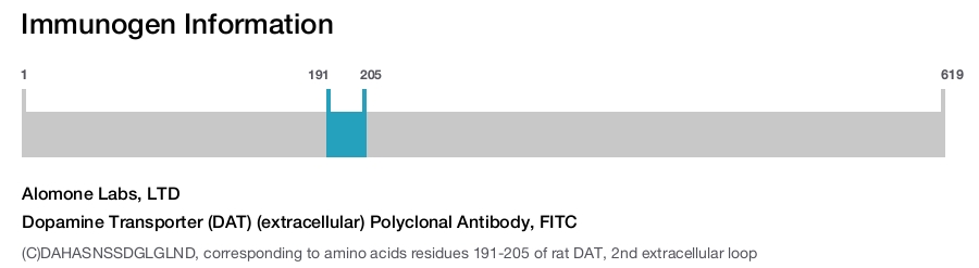 Dopamine Transporter (DAT) (extracellular) Polyclonal Antibody, FITC