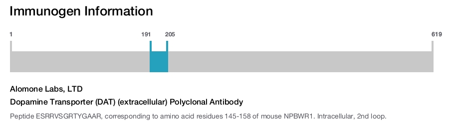 Dopamine Transporter (DAT) (extracellular) Polyclonal Antibody