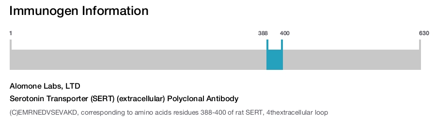 Serotonin Transporter (SERT) (extracellular) Polyclonal Antibody