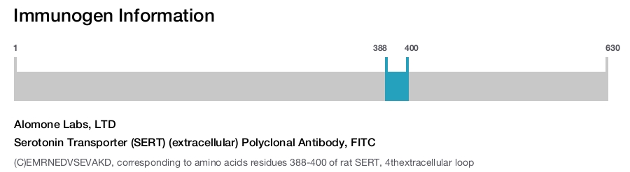 Serotonin Transporter (SERT) (extracellular) Polyclonal Antibody, FITC