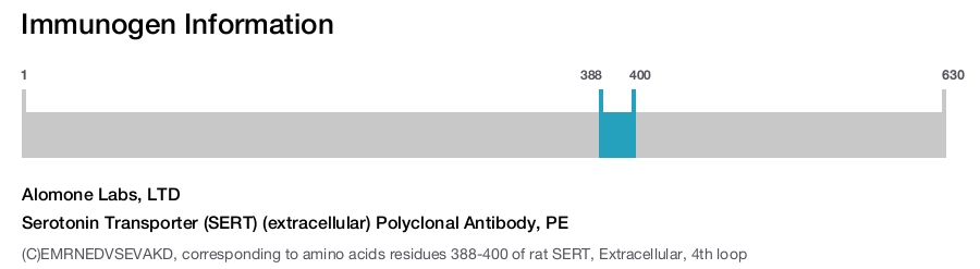 Serotonin Transporter (SERT) (extracellular) Polyclonal Antibody, PE