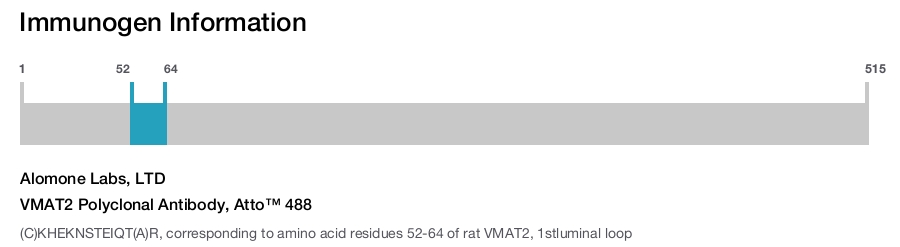 VMAT2 Polyclonal Antibody, Atto™ 488