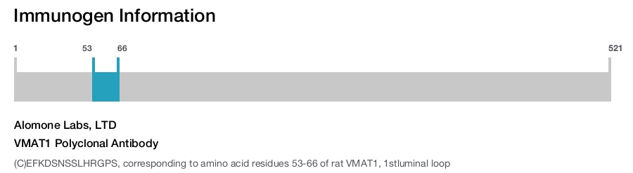 VMAT1 Polyclonal Antibody