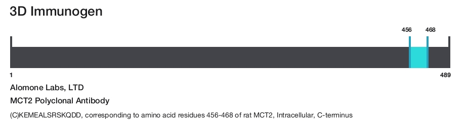 MCT2 Polyclonal Antibody