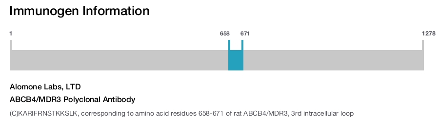 ABCB4/MDR3 Polyclonal Antibody