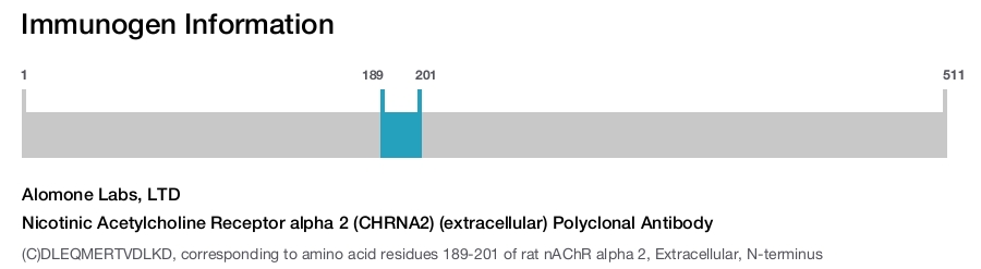 Nicotinic Acetylcholine Receptor alpha 2 (CHRNA2) (extracellular) Polyclonal Antibody