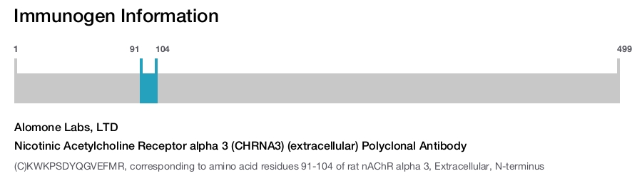 Nicotinic Acetylcholine Receptor alpha 3 (CHRNA3) (extracellular) Polyclonal Antibody