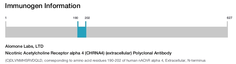 Nicotinic Acetylcholine Receptor alpha 4 (CHRNA4) (extracellular) Polyclonal Antibody