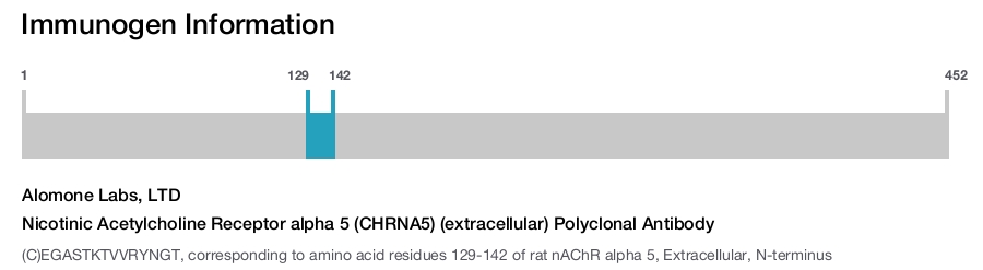 Nicotinic Acetylcholine Receptor alpha 5 (CHRNA5) (extracellular) Polyclonal Antibody