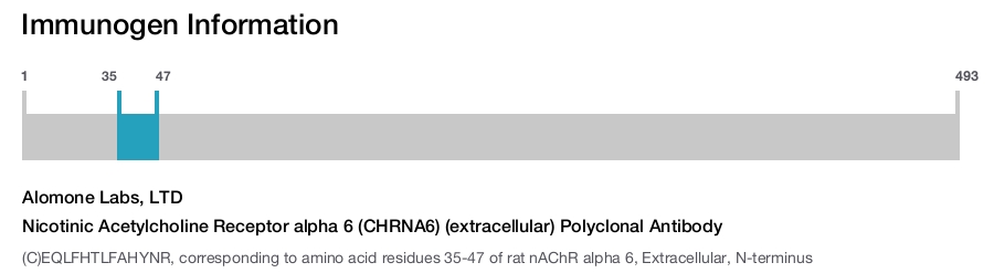 Nicotinic Acetylcholine Receptor alpha 6 (CHRNA6) (extracellular) Polyclonal Antibody