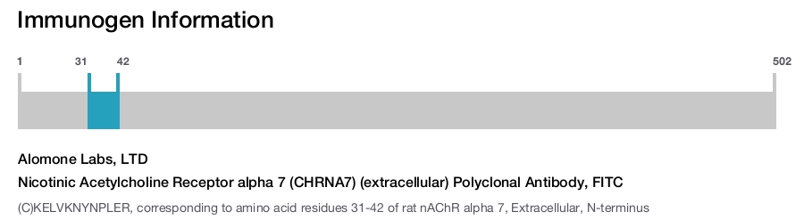 Nicotinic Acetylcholine Receptor alpha 7 (CHRNA7) (extracellular) Polyclonal Antibody, FITC
