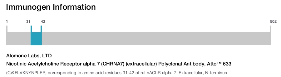 Nicotinic Acetylcholine Receptor alpha 7 (CHRNA7) (extracellular) Polyclonal Antibody, Atto™ 633