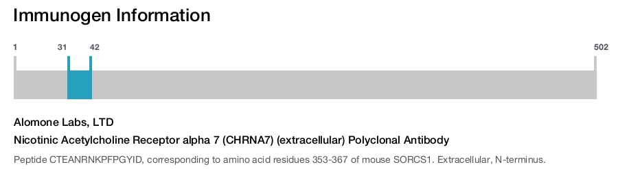Nicotinic Acetylcholine Receptor alpha 7 (CHRNA7) (extracellular) Polyclonal Antibody