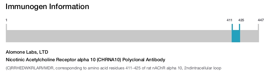 Nicotinic Acetylcholine Receptor alpha 10 (CHRNA10) Polyclonal Antibody