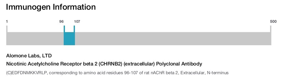 Nicotinic Acetylcholine Receptor beta 2 (CHRNB2) (extracellular) Polyclonal Antibody