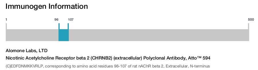 Nicotinic Acetylcholine Receptor beta 2 (CHRNB2) (extracellular) Polyclonal Antibody, Atto™ 594