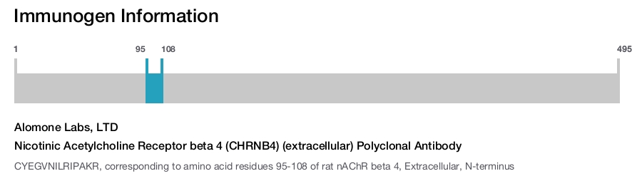Nicotinic Acetylcholine Receptor beta 4 (CHRNB4) (extracellular) Polyclonal Antibody