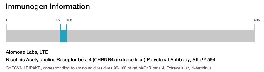Nicotinic Acetylcholine Receptor beta 4 (CHRNB4) (extracellular) Polyclonal Antibody, Atto™ 594