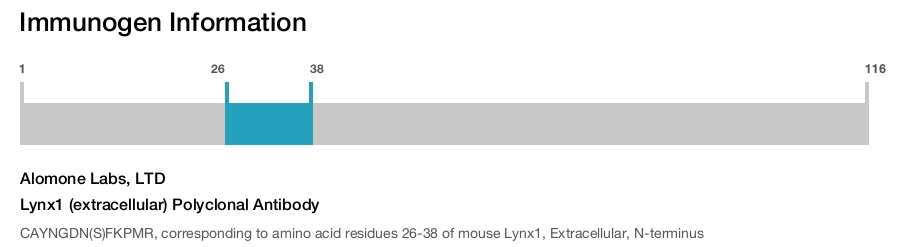 Lynx1 (extracellular) Polyclonal Antibody