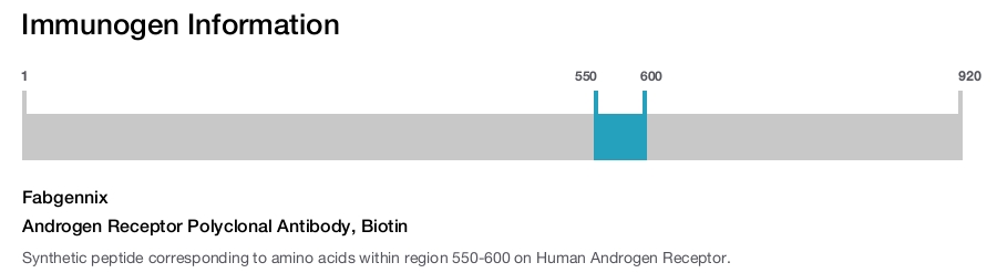 Androgen Receptor Polyclonal Antibody, Biotin