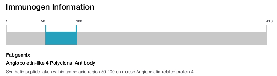 Angiopoietin-like 4 Polyclonal Antibody