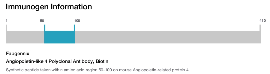 Angiopoietin-like 4 Polyclonal Antibody, Biotin