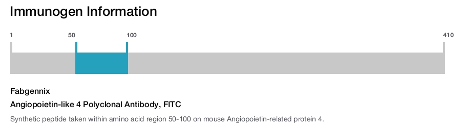 Angiopoietin-like 4 Polyclonal Antibody, FITC