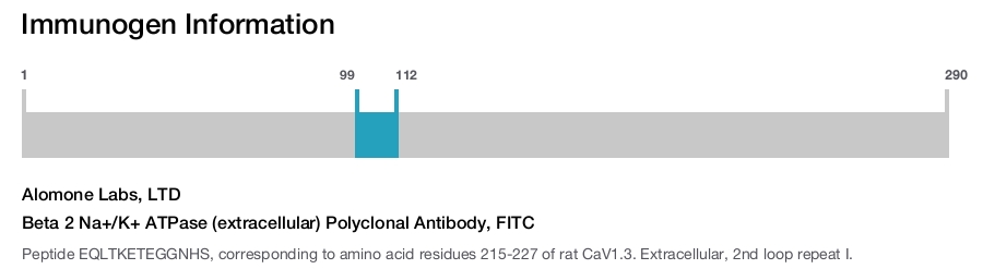 Beta 2 Na+/K+ ATPase (extracellular) Polyclonal Antibody, FITC