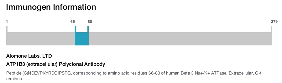ATP1B3 (extracellular) Polyclonal Antibody