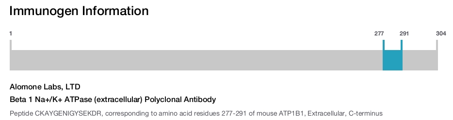 Beta 1 Na+/K+ ATPase (extracellular) Polyclonal Antibody