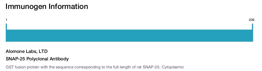SNAP-25 Polyclonal Antibody