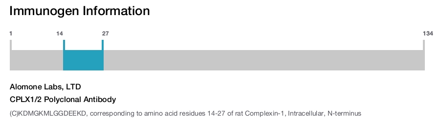 CPLX1/2 Polyclonal Antibody