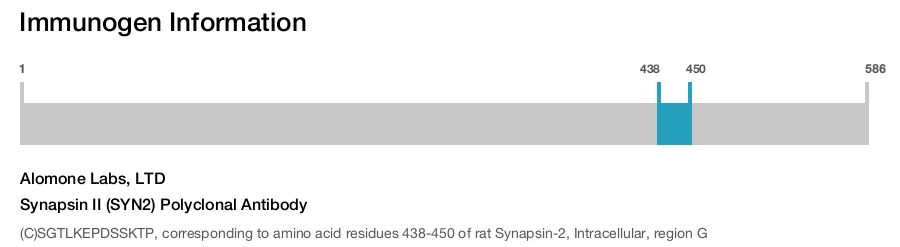 Synapsin II (SYN2) Polyclonal Antibody