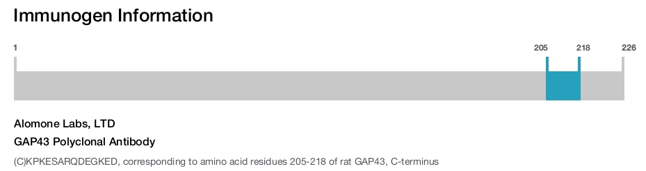 GAP43 Polyclonal Antibody