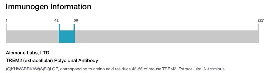 TREM2 (extracellular) Polyclonal Antibody