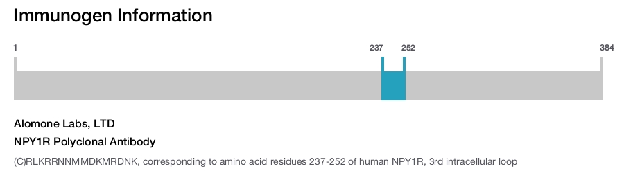 NPY1R Polyclonal Antibody