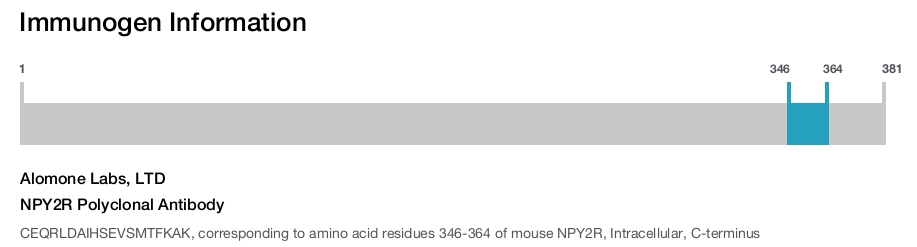 NPY2R Polyclonal Antibody