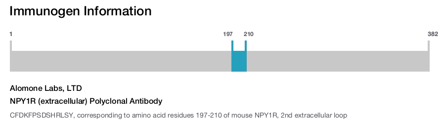 NPY1R (extracellular) Polyclonal Antibody