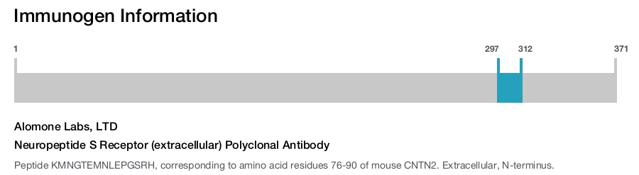 Neuropeptide S Receptor (extracellular) Polyclonal Antibody