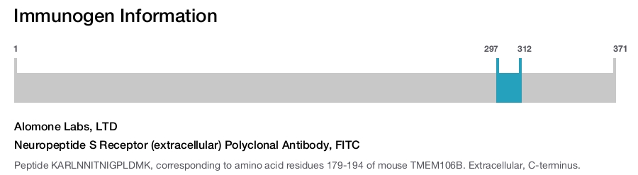 Neuropeptide S Receptor (extracellular) Polyclonal Antibody, FITC