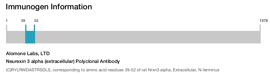 Neurexin 3 alpha (extracellular) Polyclonal Antibody
