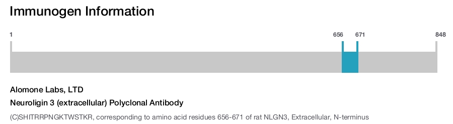 Neuroligin 3 (extracellular) Polyclonal Antibody