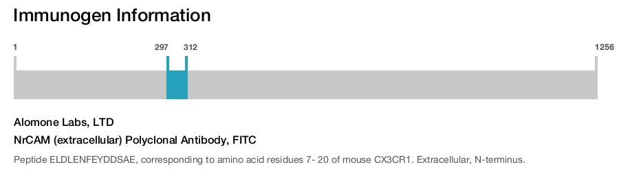 NrCAM (extracellular) Polyclonal Antibody, FITC