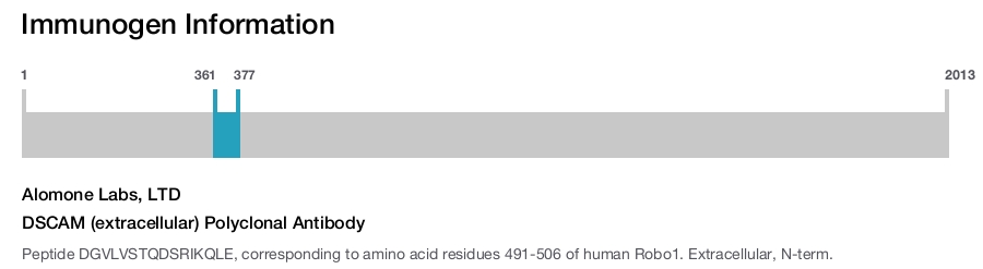 DSCAM (extracellular) Polyclonal Antibody
