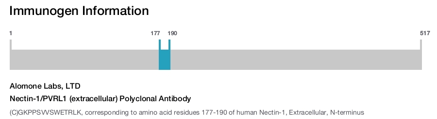Nectin-1/PVRL1 (extracellular) Polyclonal Antibody