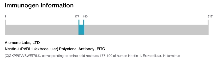 Nectin-1/PVRL1 (extracellular) Polyclonal Antibody, FITC